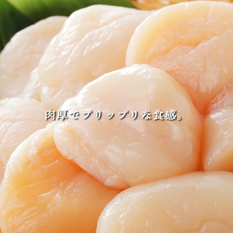ホタテ 貝柱　ご家庭用　約1kg　北海道産　【 冷凍　不揃い 　割れあり　刺身】