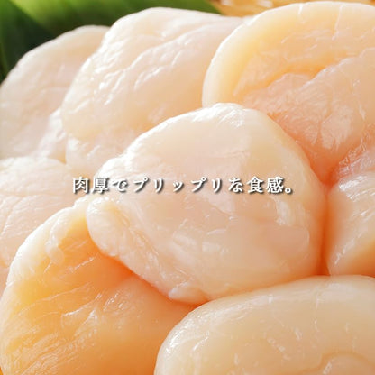 ホタテ 貝柱　ご家庭用　約1kg　北海道産　【 冷凍　不揃い 　割れあり　刺身】