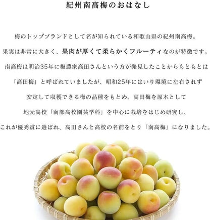 南高梅 生梅 小梅（青、黄色混ざり） 訳あり Sサイズ おまかせ 和歌山県1kg ／2kg／3kg／5kg／10kg うめ ご家庭用 紀州 なんこうばい