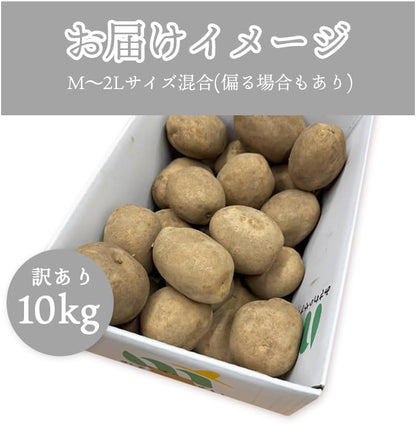 男爵3kg/5kg/10kg 北海道産 じゃがいも サイズお任せ(M〜2L) 訳あり 男爵イモ ジャガイモ 馬鈴薯 国産
