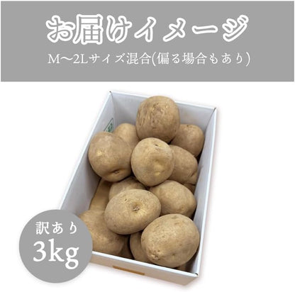男爵3kg/5kg/10kg 北海道産 じゃがいも サイズお任せ(M〜2L) 訳あり 男爵イモ ジャガイモ 馬鈴薯 国産