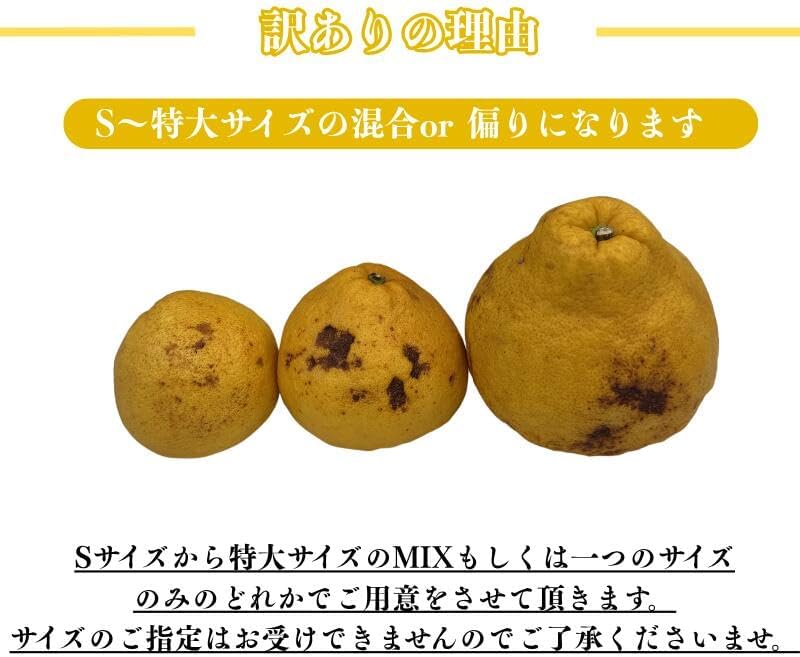 瑞季 3kg／ 5kg／10kg みずき 訳あり 広島県産 水晶文旦 × サザンイエロー  ご家庭用 スレ 汚れ 黒点あり