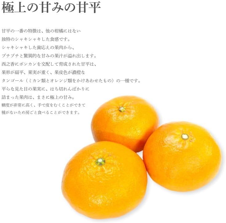 甘平みかん　ご家庭用　2kg／5kg　愛媛県産　【スレ、汚れ、黒点あり】