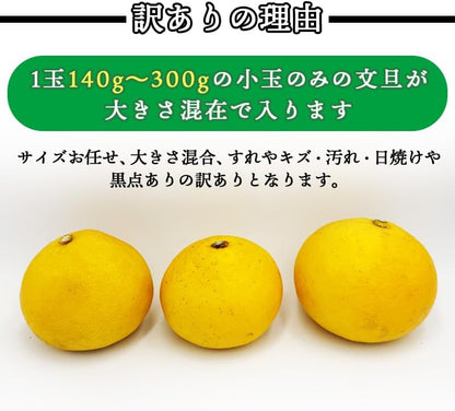 土佐文旦 訳あり サイズお任せ5kg（300g～1kg 約15玉） ／サイズお任せ10kg（300g～1kg 約25玉）／小玉のみ5kg（140g～300g 約20玉）／小玉のみ10kg（140g～300g 約40玉） 文旦 ぶんたん ブンタン 高知県産 サイズお任せ ご家庭用 スレ 汚れ 黒点あり