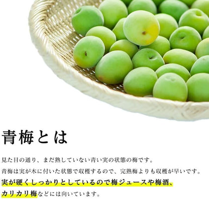 梅