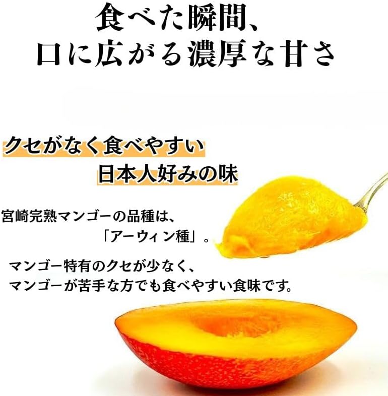 マンゴー ギフト 鑑定書付き 赤秀 完熟 宮崎県 大玉 2Lサイズ 350g x2玉 化粧箱／ ＜ とろけるようなマンゴー 訳あり ご家庭用 宮崎県 完熟  3玉入り(1玉：約300〜350g) 簡易梱包 サイズばらつきあり 果実 みやざき甘さと食感 ＞