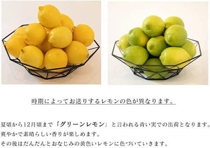 レモン 国産 訳あり 1kg/2kg/3kg/5kg 皮まで食べられる ノーワックス 防腐剤 防カビ剤 不使用