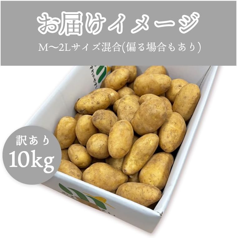 メークイン3kg／5kg ／10kg じゃがいも サイズお任せ(M〜2L) 北海道産 訳あり 新鮮 じゃが芋 国産