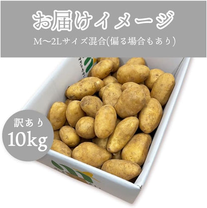 メークイン3kg／5kg ／10kg じゃがいも サイズお任せ(M〜2L) 北海道産 訳あり 新鮮 じゃが芋 国産