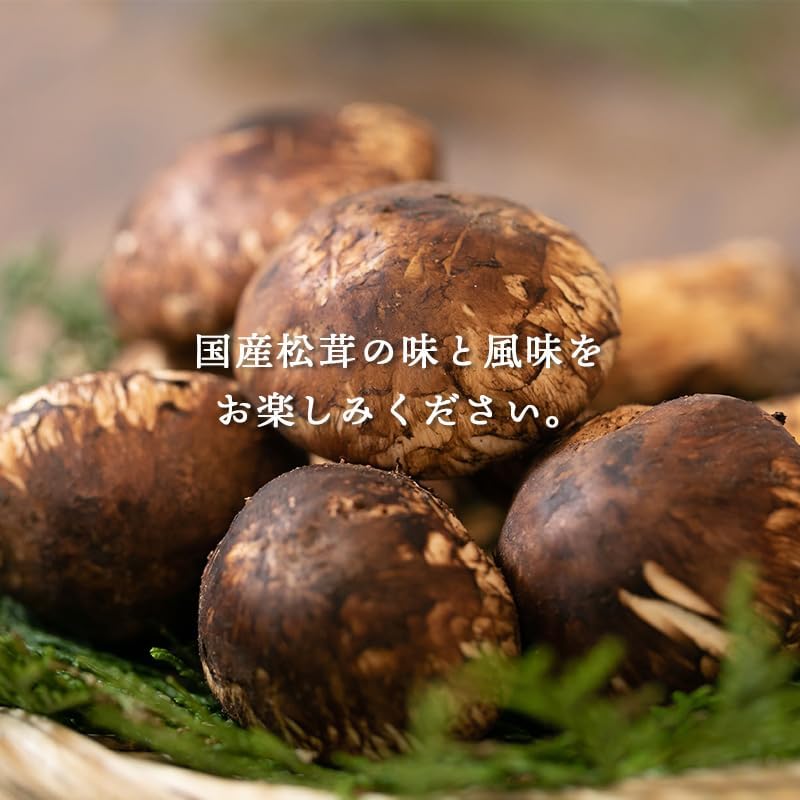 松茸　ご家庭用　100g／200g／300g／1kg　長野県産・その他
