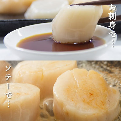 ホタテ 貝柱　ご家庭用　約1kg　北海道産　【 冷凍　不揃い 　割れあり　刺身】