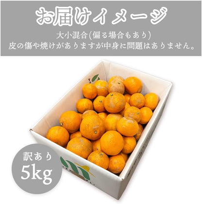 カラマンダリン　 ご家庭用　2kg／5kg／10kg　愛媛県産　【濃厚　ジューシー　スレ、汚れ、黒点あり】