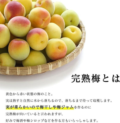 【冷凍】 南高梅 完熟梅 訳あり サイズ混合( M~3L ) おまかせ 和歌山県 1kg 冷凍 うめ ご家庭用 紀州 なんこうばい