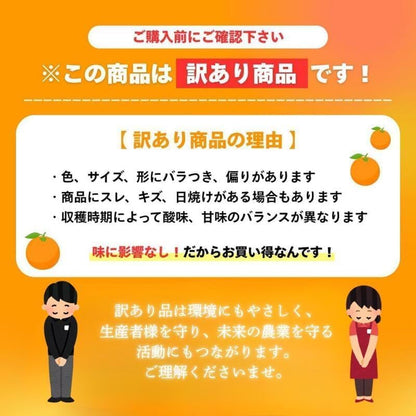 <予約開始> さくらんぼ 訳あり 山形県 700g／1kg／2kg／5kg 品種お任せ <クール便> S～2Lサイズ混合 バラ詰め サクランボ ご家庭用 (6月下旬頃から発送予定)