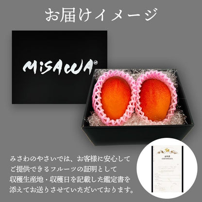 マンゴー ギフト 鑑定書付き 赤秀 完熟 宮崎県 大玉 2Lサイズ 350g x2玉 化粧箱／ ＜ とろけるようなマンゴー 訳あり ご家庭用 宮崎県 完熟  3玉入り(1玉：約300〜350g) 簡易梱包 サイズばらつきあり 果実 みやざき甘さと食感 ＞