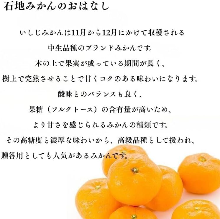赤秀 みかん　贈答用　1.5kg／3kg／5kg (SMLサイズ)　愛媛県産　【選果選別済　老舗八百屋が厳選した石地ミカン】