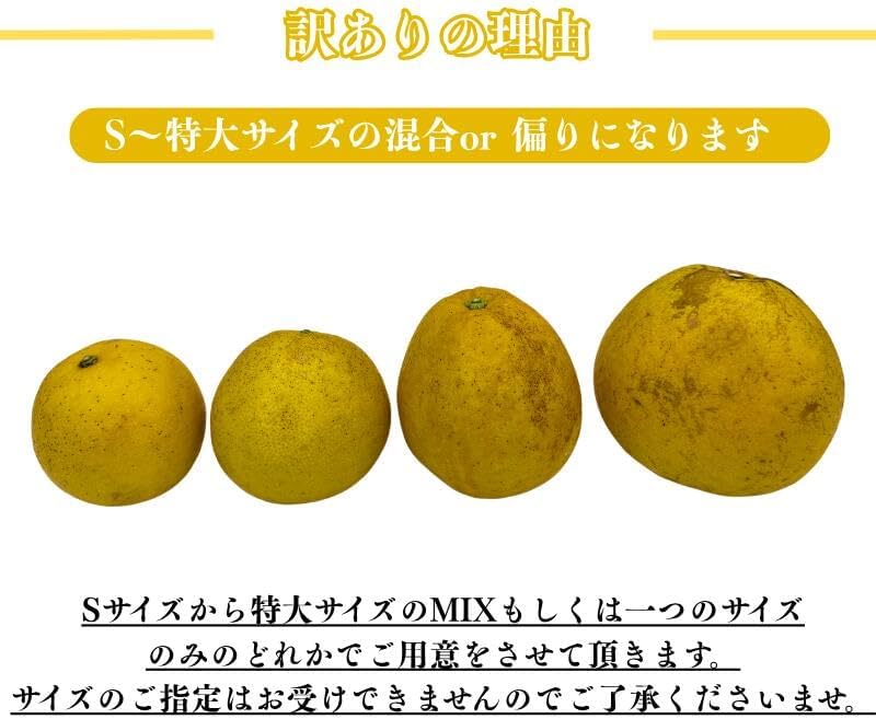 河内晩柑 訳あり3kg/5kg/10kg かわちばんかん 晩柑 愛媛県産 ご家庭用 スレ 汚れ 黒点あり