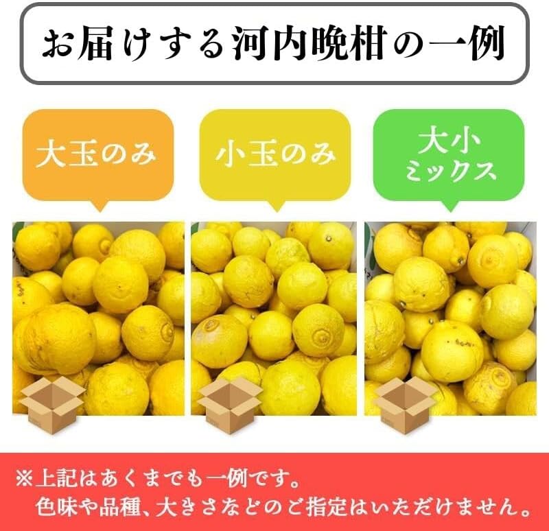 河内晩柑 訳あり3kg/5kg/10kg かわちばんかん 晩柑 愛媛県産 ご家庭用 スレ 汚れ 黒点あり