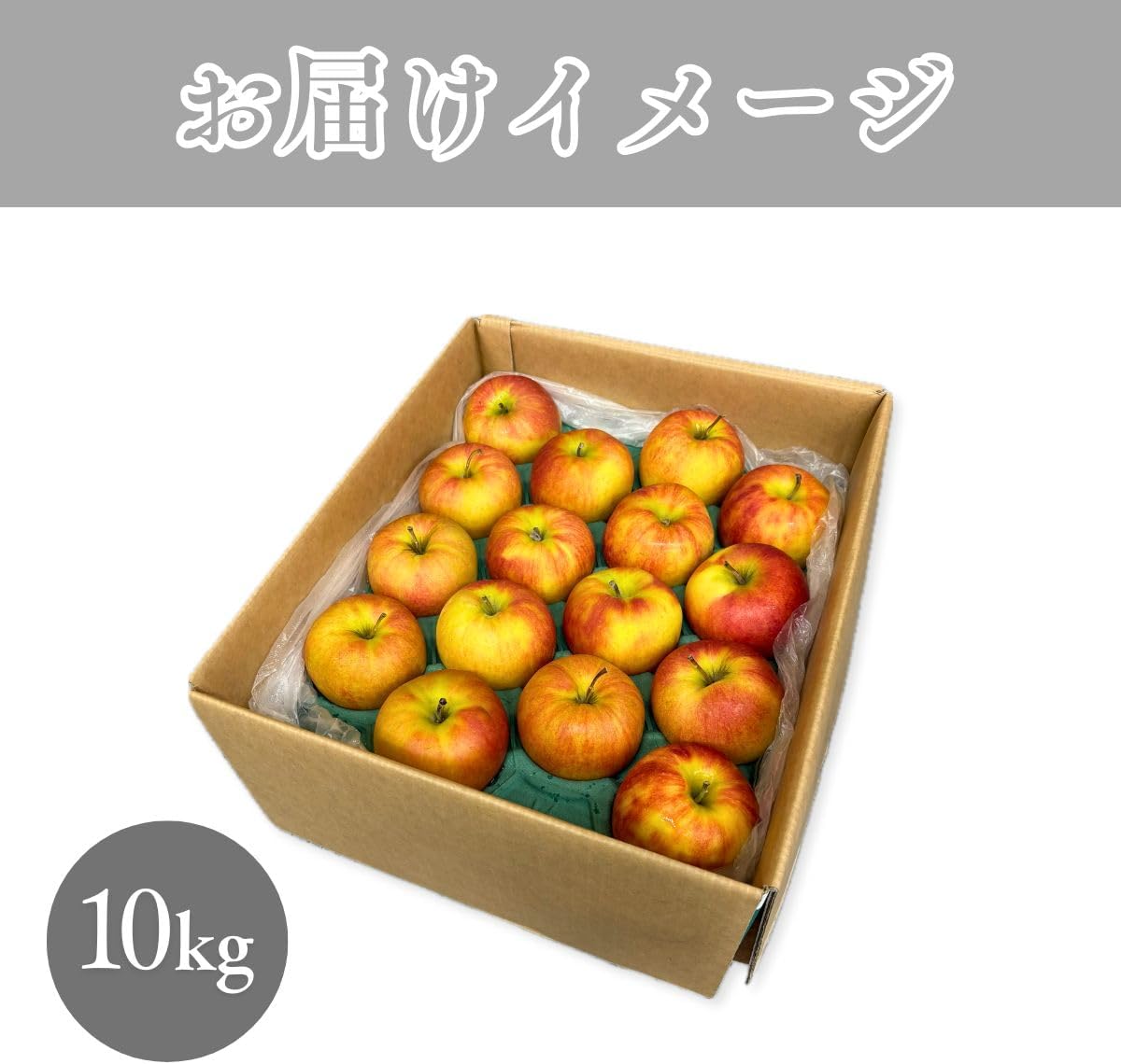 特選ふじりんご　2kg／5kg／10kg　 長野県産・その他　【 糖度13.5度以上　光センサー選別品】