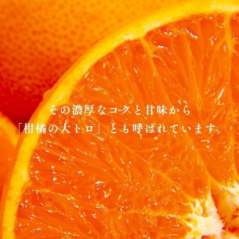 せとか 訳あり 愛媛県産 1kg／ 2kg／5kg／10kg サイズお任せ（Mサイズ多め） みかん 柑橘 家庭用