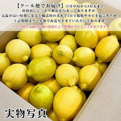 レモン 国産 訳あり 1kg/2kg/3kg/5kg 皮まで食べられる ノーワックス 防腐剤 防カビ剤 不使用