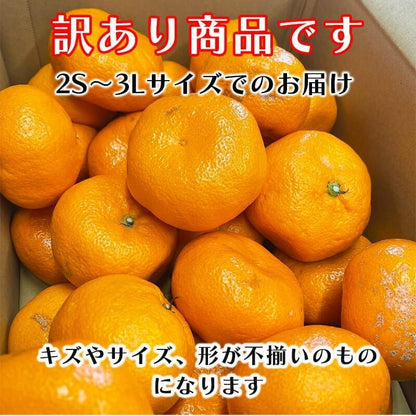 有田みかん　ご家庭用　1.5kg／3kg／5kg／10kg　和歌山県産　【スレ、汚れ、黒点あり】　