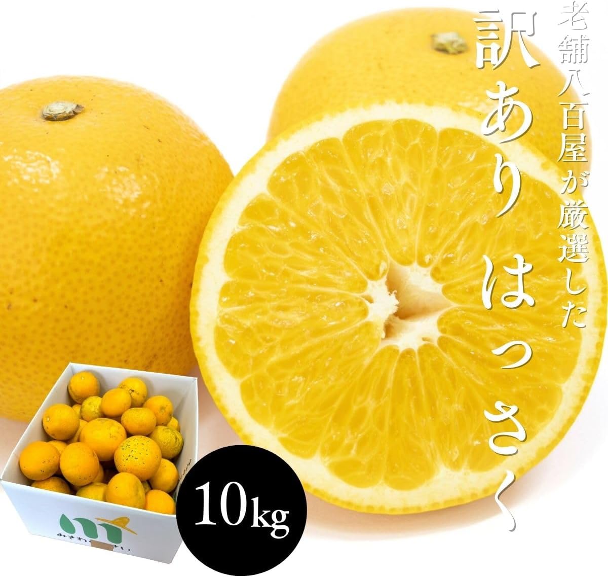 訳あり はっさく5kg／ 10kg 八朔 ご家庭用 和歌山県産 スレ 汚れ 黒点あり