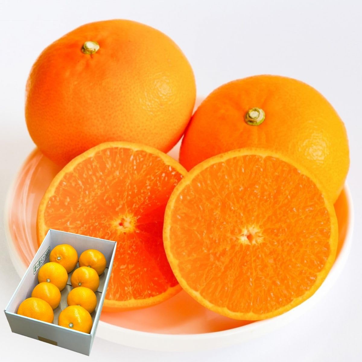 せとか 赤秀 愛媛県産 1kg ／2kg／5kg みかん 柑橘 ギフト