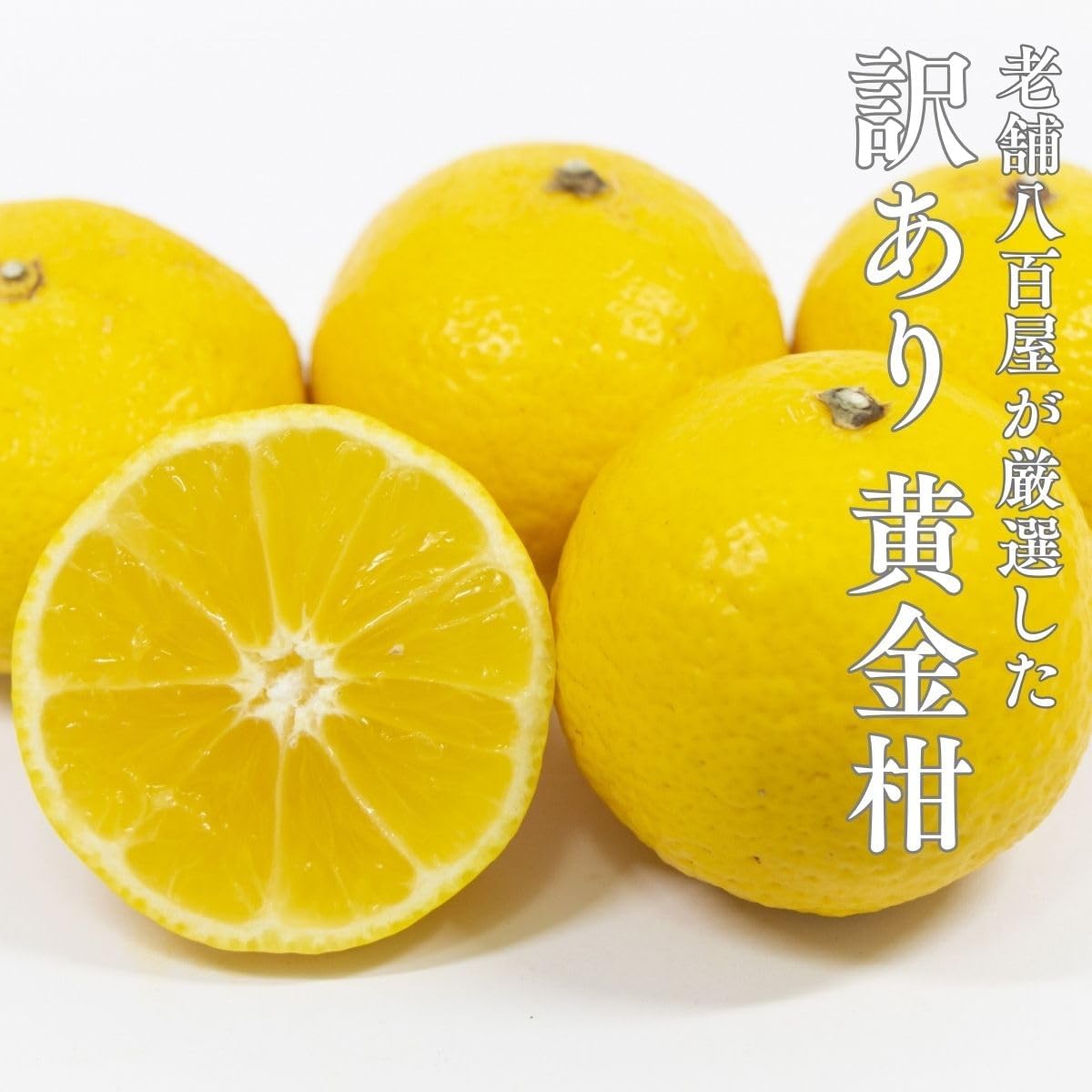 黄金柑 1kg／2kg／5kg おうごんかん 訳あり 愛媛県産