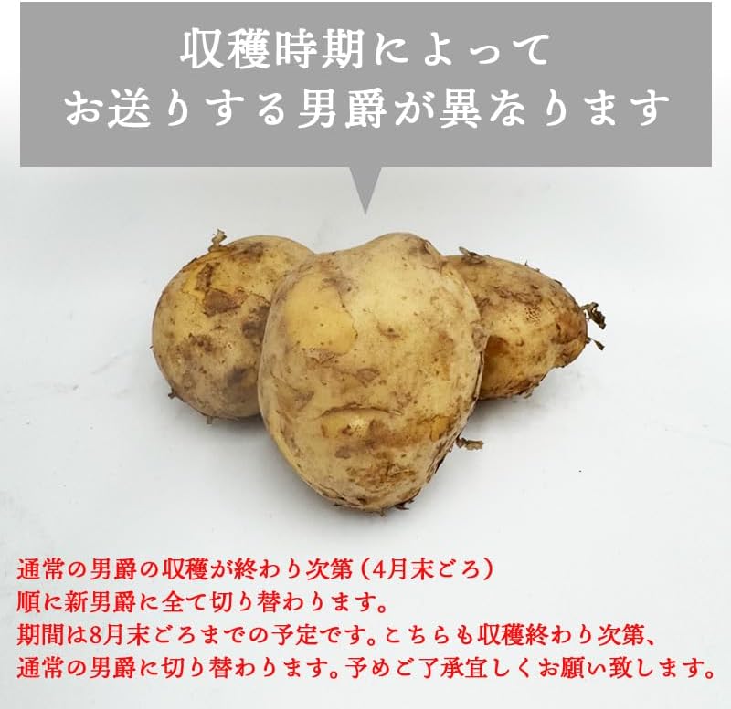 男爵3kg/5kg/10kg 北海道産 じゃがいも サイズお任せ(M〜2L) 訳あり 男爵イモ ジャガイモ 馬鈴薯 国産