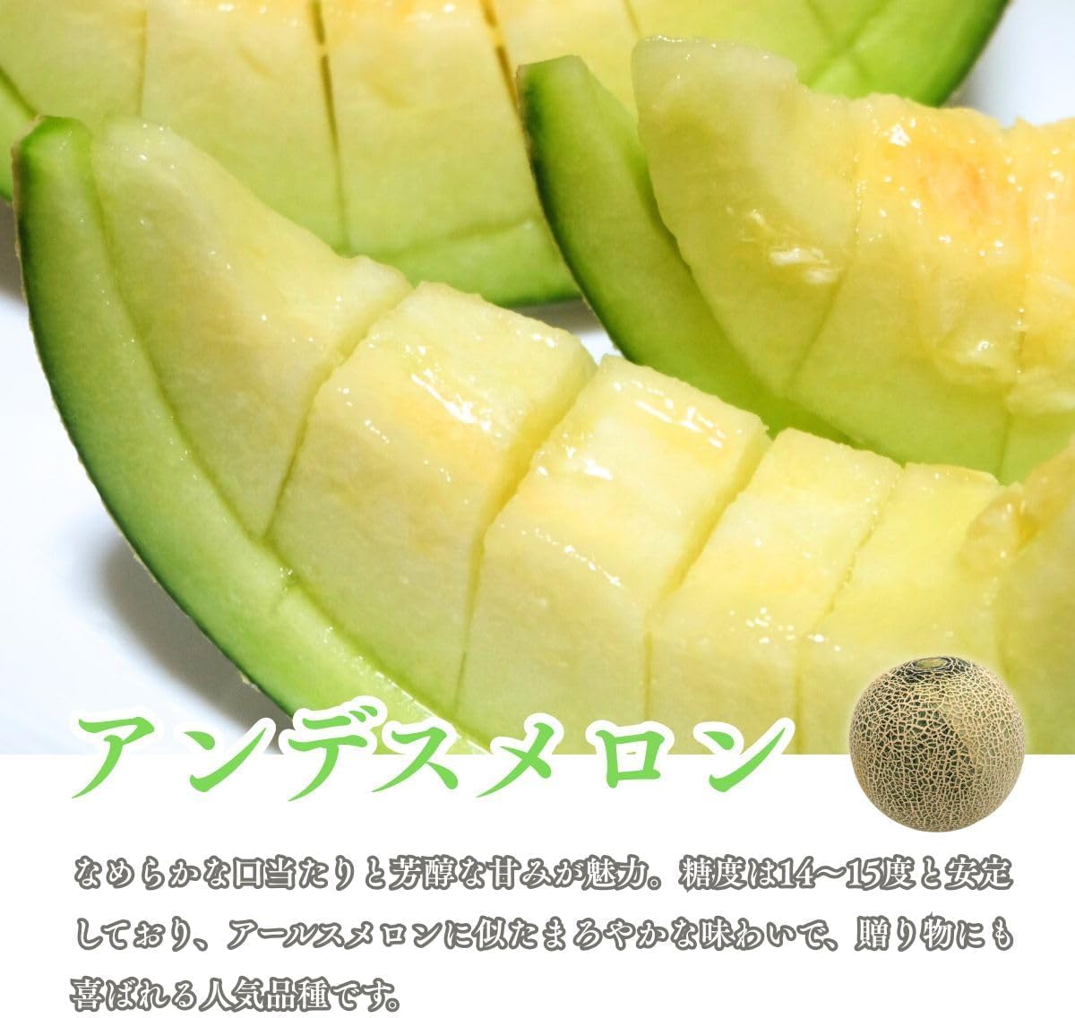 青肉メロン　贈答用　1玉(1kg以上)　熊本県産　【アンデスメロン・タカミメロン・肥後グリーンのいずれか　大玉　化粧箱入り】
