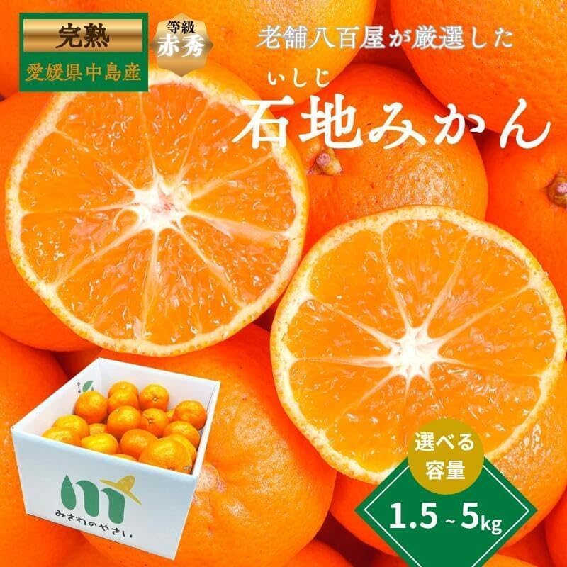 赤秀 みかん　贈答用　1.5kg／3kg／5kg (SMLサイズ)　愛媛県産　【選果選別済　老舗八百屋が厳選した石地ミカン】