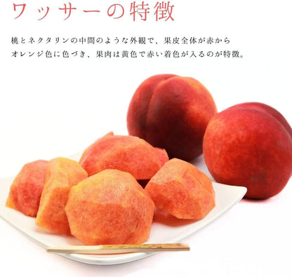 ワッサー1kg／2kg／ 4kg ＜クール便＞ 桃 訳あり ネクタリン 硬い桃 長野県産 果物 フルーツ 自宅用