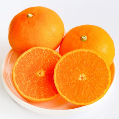 せとか 赤秀 愛媛県産 1kg ／2kg／5kg みかん 柑橘 ギフト