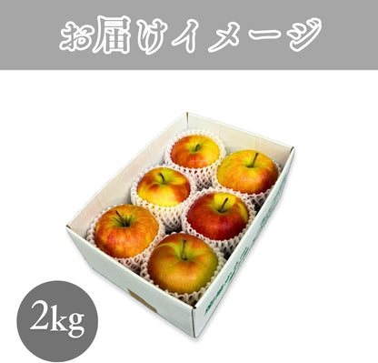特選ふじりんご　2kg／5kg／10kg　 長野県産・その他　【 糖度13.5度以上　光センサー選別品】