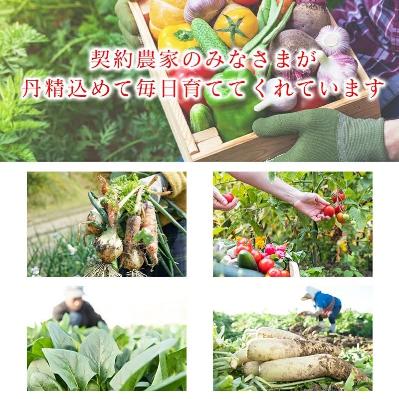 【光センサー選別品】 りんご 訳あり ご家庭用 キズあり 1kg/2kg/3kg/5kg10kg 長野県産 おまかせ品種 サンつがる シナノリップ シナノゴールド シナノスウィート シナノドルチェ 林檎 箱 リンゴ [みさわのやさい]