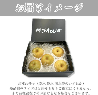 梨　贈答用　 約1.2kg(5玉)　長野県産　【化粧箱入り　品種お任せ(幸水・豊水・南水等のいずれか)　クール便】