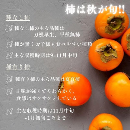 富有柿　贈答用　約1kg 4~5玉入／約2.2kg 8~12玉入　和歌山県産・その他　【化粧箱入り】