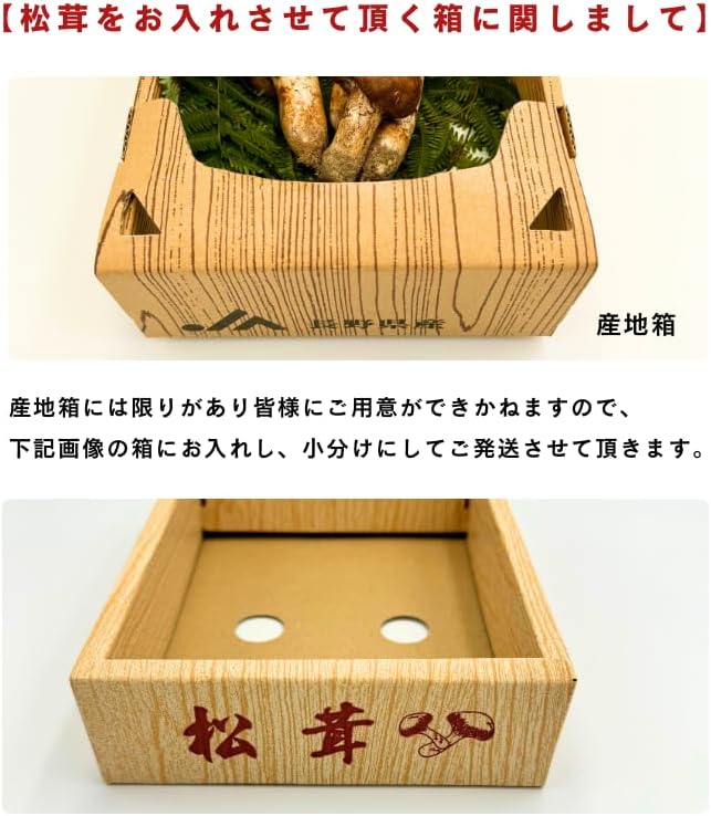 松茸　ご家庭用　100g／200g／300g／1kg　長野県産・その他
