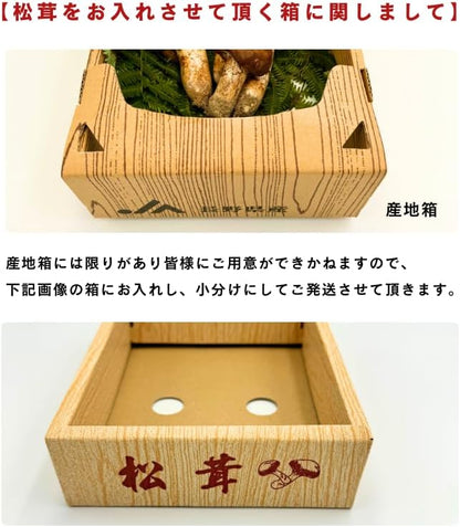 松茸　ご家庭用　100g／200g／300g／1kg　長野県産・その他