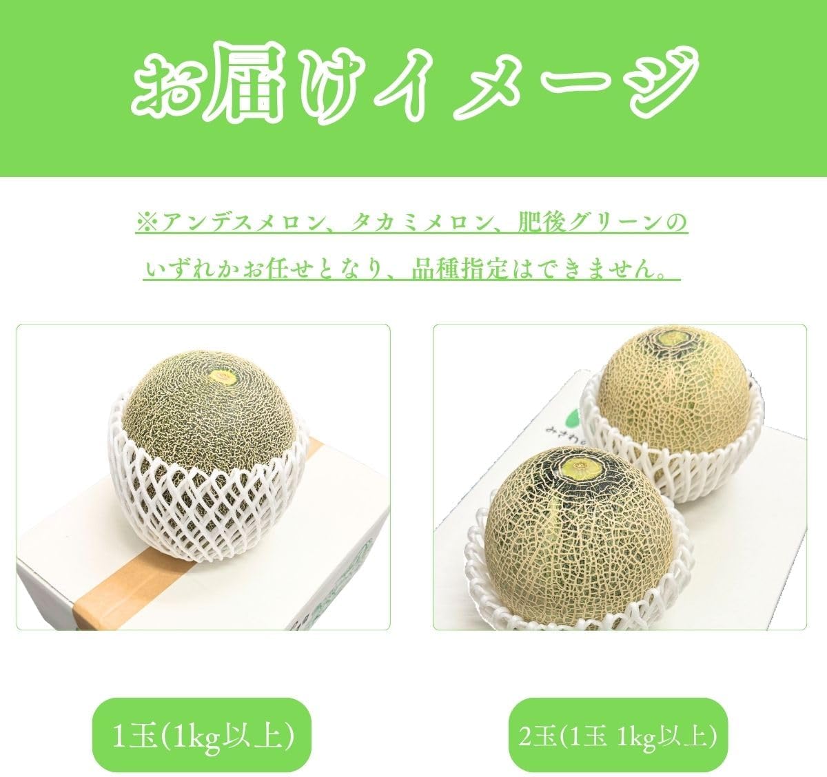 青肉メロン 1玉（1kg以上）／ 1玉（1kg以上 化粧箱入り）／2玉（1玉 1kg以上）大玉 訳あり 熊本県産  めろん ( アンデスメロン タカミメロン 肥後グリーン )
