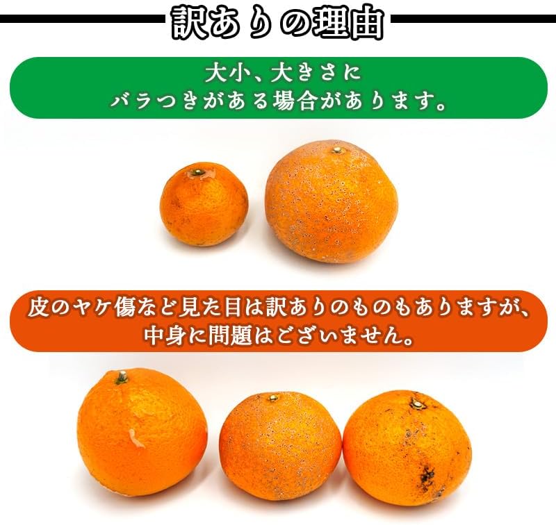 清見オレンジ 3kg／5kg／10kg 和歌山産 訳あり ご家庭用 箱 きよみ 清見タンゴール