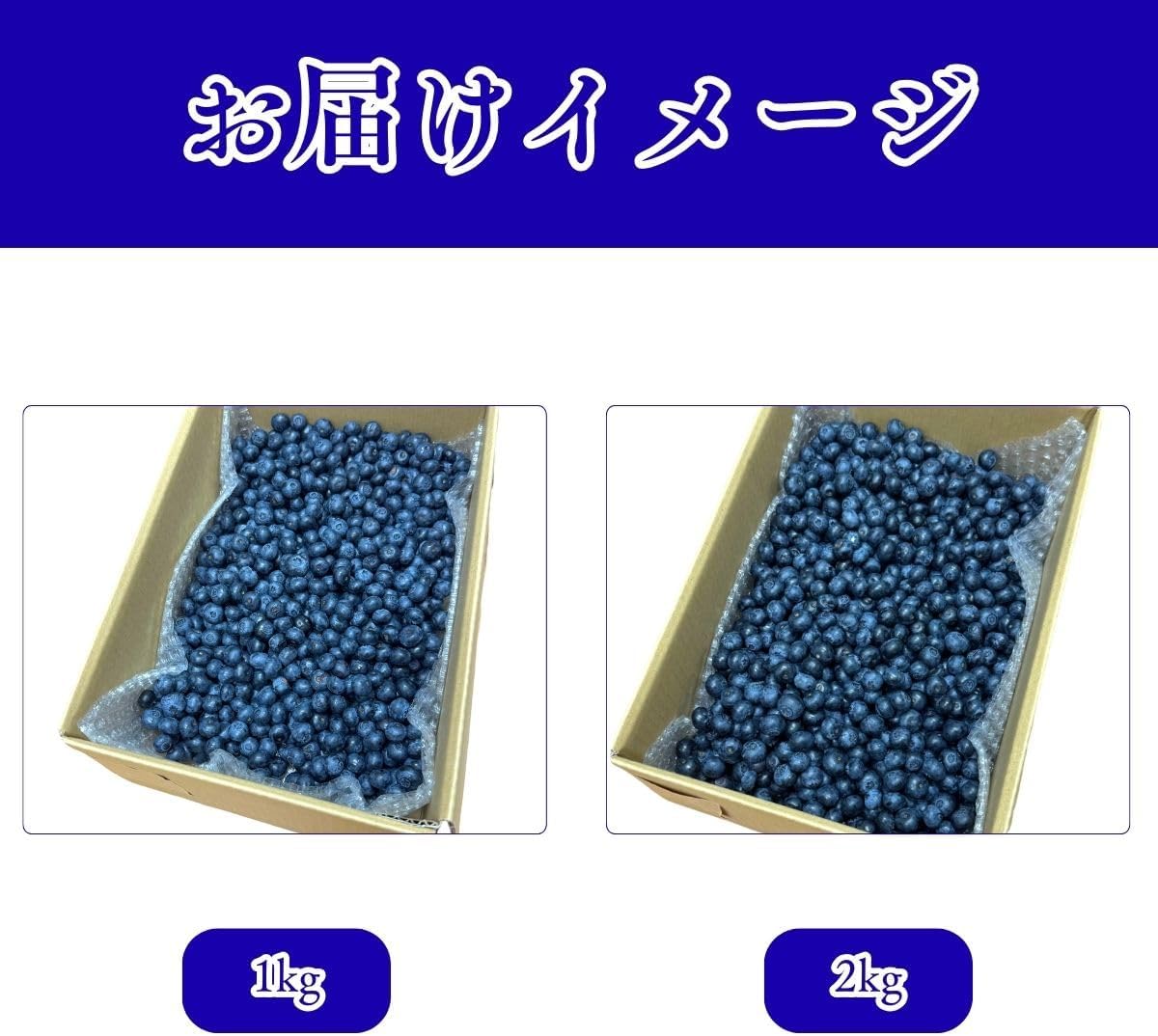 ブルーベリー　ご家庭用　1kg／2kg　長野県産