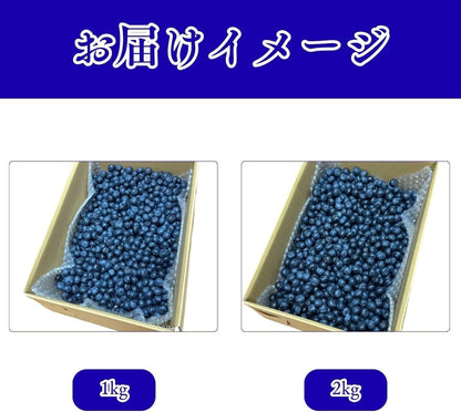 ブルーベリー　ご家庭用　1kg／2kg　長野県産
