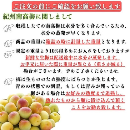 南高梅 生梅 完熟梅 訳あり サイズ混合( L~3L ) おまかせ 和歌山県1kg／2kg／3kg／5kg／10kg うめ ご家庭用 紀州 なんこうばい