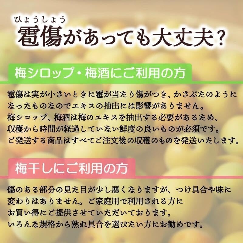 南高梅 生梅 完熟梅 訳あり サイズ混合( L~3L ) おまかせ 和歌山県1kg／2kg／3kg／5kg／10kg うめ ご家庭用 紀州 なんこうばい