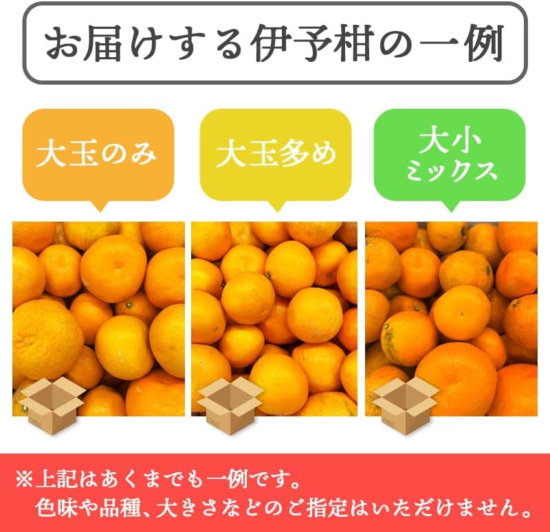 いよかん 訳あり 5kg／10kg 伊予柑 愛媛県産 サイズお任せ スレ 汚れ 黒点あり