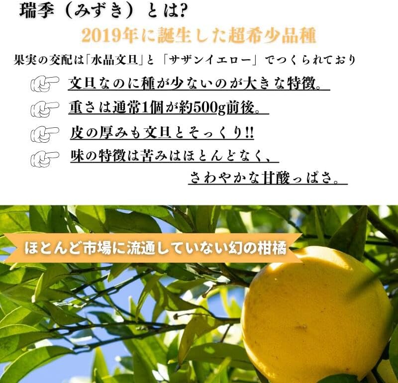 瑞季 3kg／ 5kg／10kg みずき 訳あり 広島県産 水晶文旦 × サザンイエロー  ご家庭用 スレ 汚れ 黒点あり