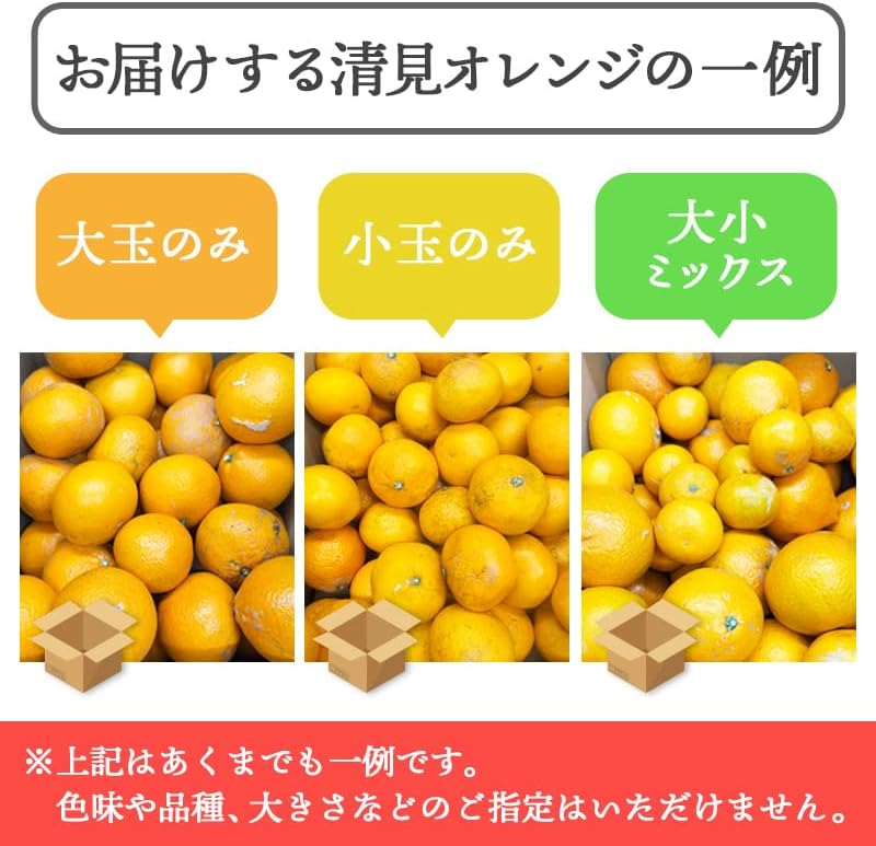 清見オレンジ 3kg／5kg／10kg 和歌山産 訳あり ご家庭用 箱 きよみ 清見タンゴール