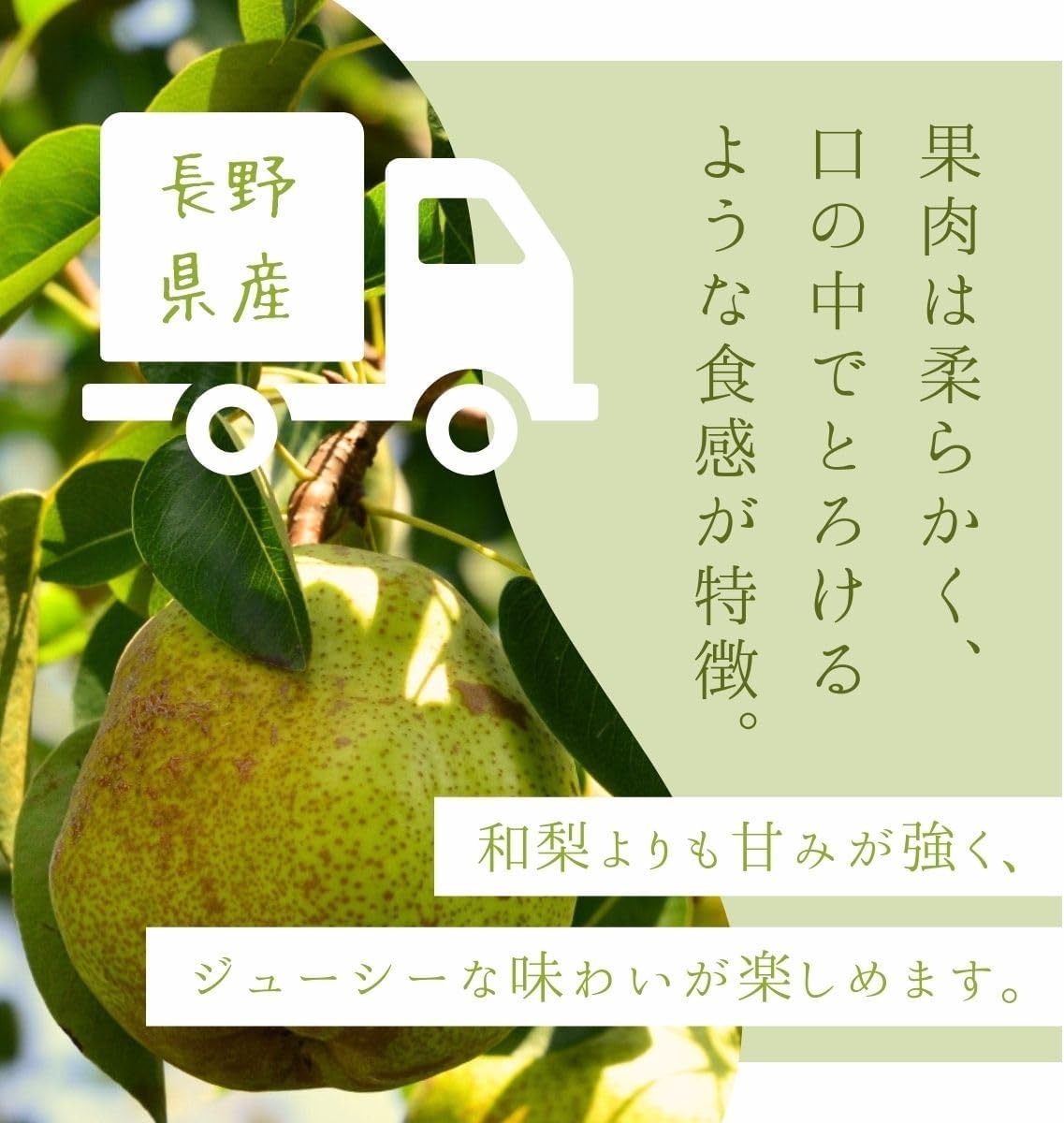 洋梨　ご家庭用　1kg／2kg／4kg／5kg　長野県産　【品種混在　品種お任せ(ラ・フランス　ル・レクチェ　オーロラ)】